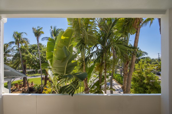 Hawks Cay King Guestroom Tropical Window View