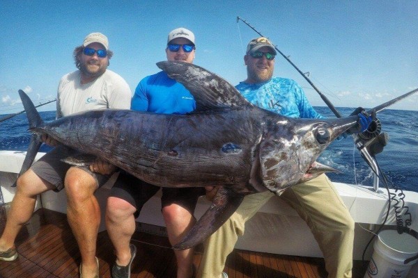 swordfish in the Florida Keys