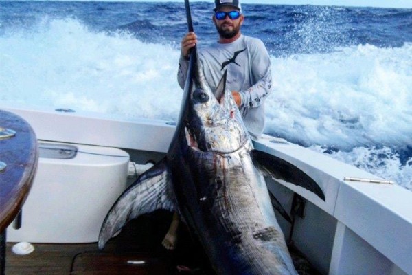 fishing charters at Hawks Cay