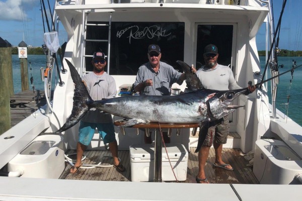 group fishing charters at Hawks Cay