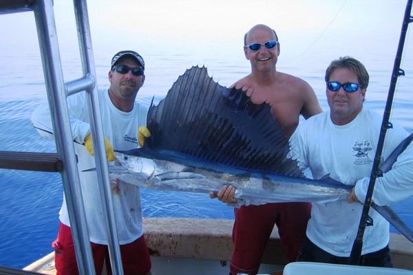 Sailfish caught on fishing charter at Hawks Cay resort in the Florida Keys