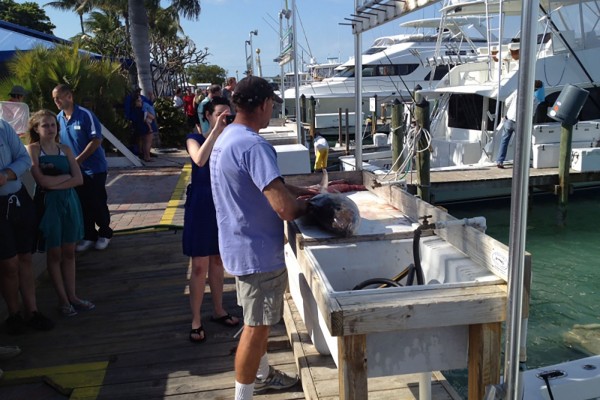 On the dock after a fishing charter day at Hawks Cay in the Florida Keys