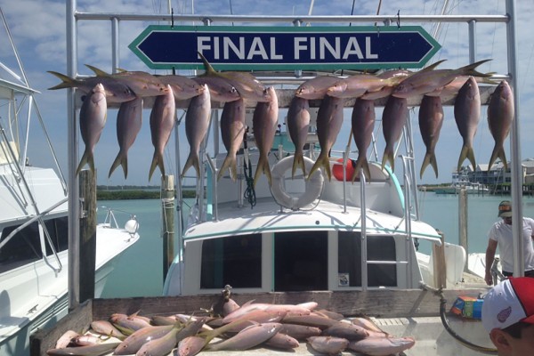 Yellowfin tuna caught on the Final Final fishing charter in the Florida Keys