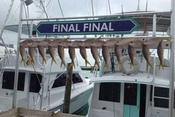 Yellowfin tuna caught on the Final Final fishing charter in the Florida Keys