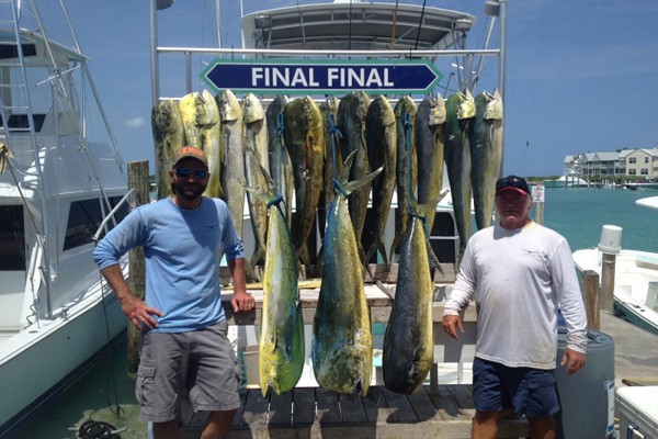 Mahi-Mahi caught on Final Final Hawks Cay fishing charters in the Florida Keys