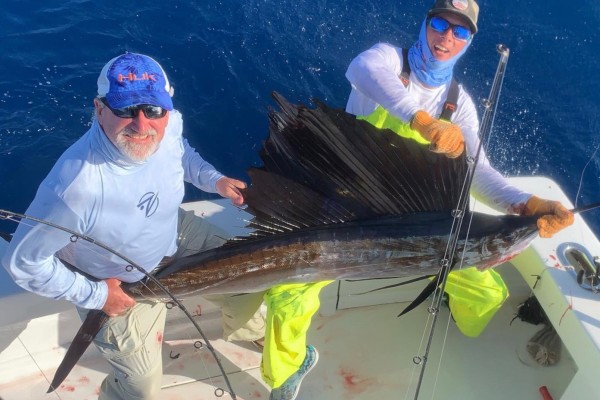 Sailfish caught on Final Final fishing charter at Hawks Cay resort in the Florida Keys