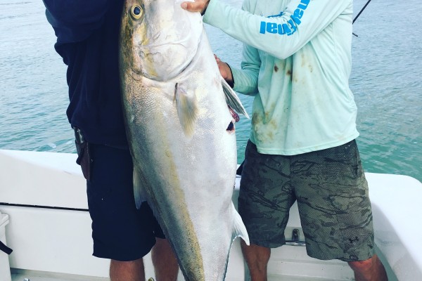 Blackfin tuna caught on the Final Final in the Florida Keys