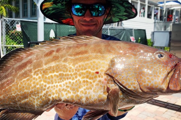 Grouper caught on Gotcha fishing charter at Hawks Cay Resort in the Florida Keys