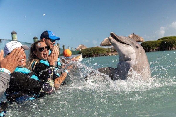 swimming with dolphins at Hawks Cay Resort 