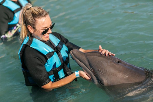 swimming with dolphins in the Florida Keys