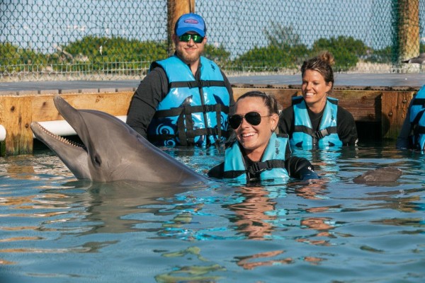 swim with dolphins