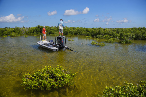 The Saltwater Experience crew is fishing the flats in the Florida Keys.
