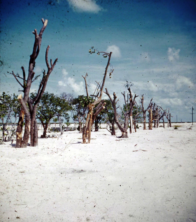 Vintage image of the sandy shores and beach at Duck Key